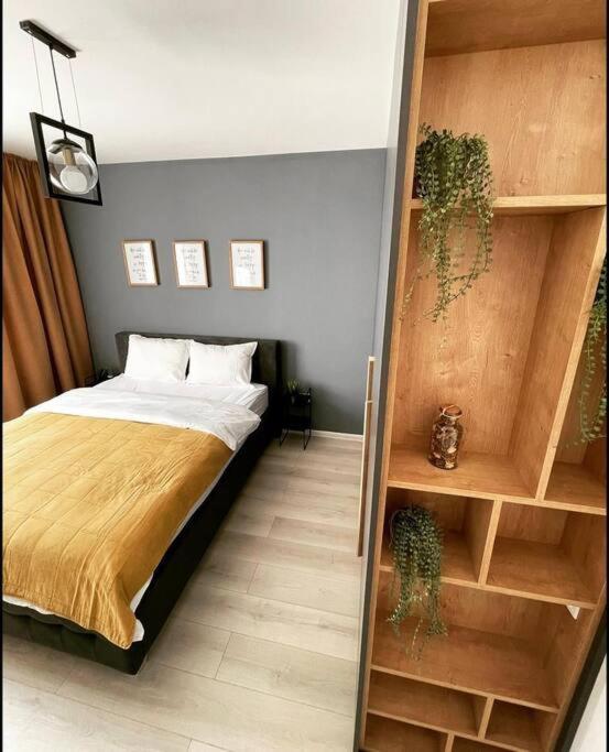 Minimalist Studio Apartment Braşov Esterno foto